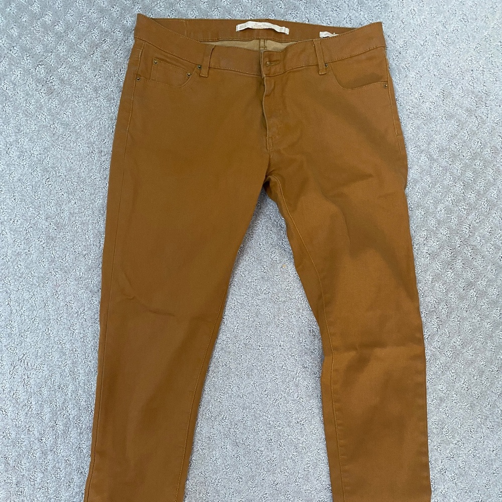 Zara Premium Denim Camel Gold Straight Leg Slim Fit Jeans